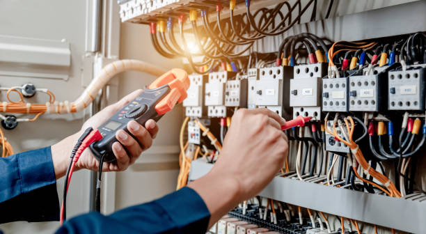 Best Electric Panel Repair  in Red Oaks Mill, NY